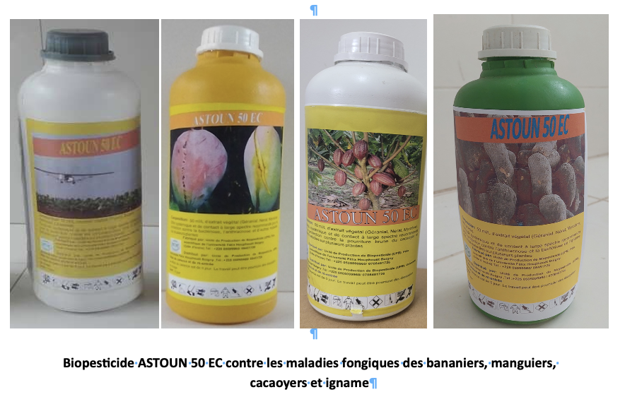 ASTOUN 50 EC: Biopesticide naturel pour la gestion des ravageurs